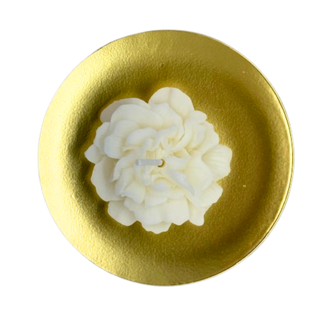 Carnation