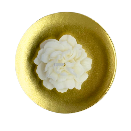 Carnation